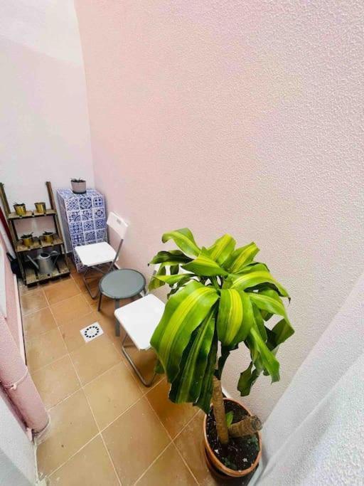 Graca Home Lisboa Kültér fotó